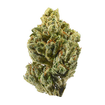 og-kush-indoor-strain-thc-flower-hybrid-le-zedou-bangkok-thailand