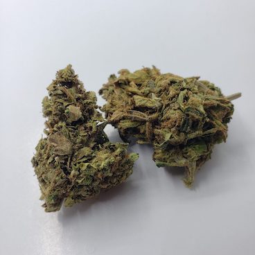 og kush outdoor-strain-thc-flower-hybrid-le-zedou-bangkok-thailand